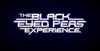 Los Black Eyed peas tendr�n su propio videojuego