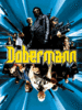 Dobermann