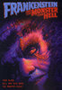 Frankenstein y el Monstruo del Infierno