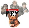 Rex, un polic�a diferente